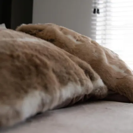 Boutique Appartementen Theodore