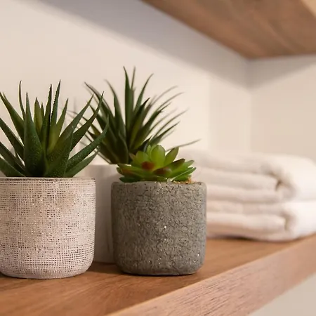 Boutique Appartementen Theodore 公寓 *