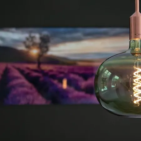 Boutique Appartementen Theodore 公寓 法尔肯堡